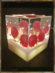 Resin Cube | Night Light - Globe Amaranths - Pink