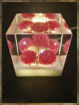 Resin Cube | Night Light - Globe Amaranths - Pink