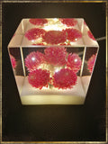 Resin Cube | Night Light - Globe Amaranths - Pink