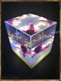 Resin Cube | Night Light Cube - Fuchsia Triphylla