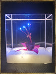 Resin Cube | Night Light Cube - Fuchsia Triphylla