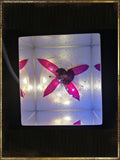 Resin Cube | Night Light Cube - Fuchsia Triphylla