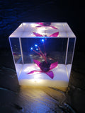 Resin Cube | Night Light Cube - Fuchsia Triphylla