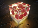 Resin Cube | Night Light - Globe Amaranths - Pink