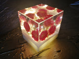 Resin Cube | Night Light - Globe Amaranths - Pink