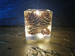 Resin Cube | Night Light Cube - Pine Cones