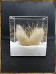 Resin Cube | Night Light Cube - Bunny Tail - Natural