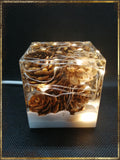 Resin Cube | Night Light Cube - Pine Cones