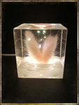 Resin Cube | Night Light Cube - Bunny Tail - Pink