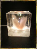 Resin Cube | Night Light Cube - Bunny Tail - Pink