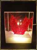 Resin Cube | Night Light Cube - Bunny Tail - Violet