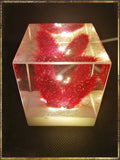 Resin Cube | Night Light Cube - Bunny Tail - Violet