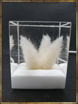 Resin Cube | Night Light Cube - Bunny Tail - White