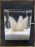 Resin Cube | Night Light Cube - Bunny Tail - White