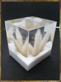 Resin Cube | Night Light Cube - Bunny Tail - White