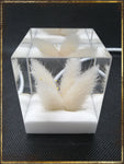 Resin Cube | Night Light Cube - Bunny Tail - White